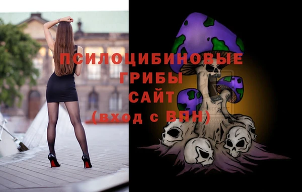 spice Дмитровск