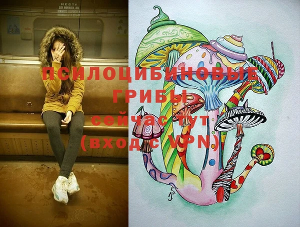 синтетический гашиш Елабуга