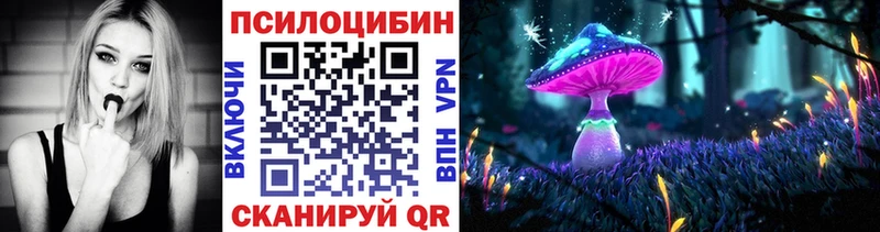 Купить где  Сатка  Галлюциногенные грибы GOLDEN TEACHER 